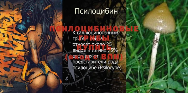 ALPHA PVP Армянск