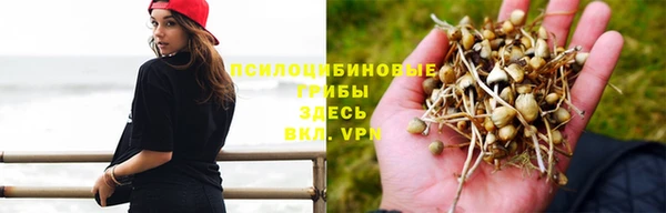 гашик Арсеньев