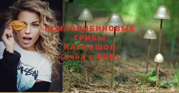 гашик Арсеньев