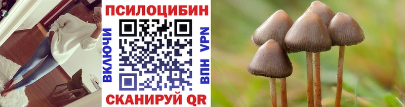 Галлюциногенные грибы Cubensis  сколько стоит  Славянск-на-Кубани 